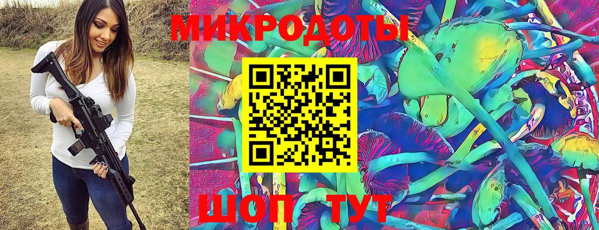 Галлюциногенные грибы Psilocybine cubensis Киселёвск