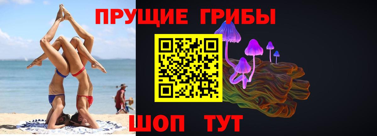 Киселёвск  Галлюциногенные грибы прущие грибы  Вход с VPN 